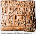 Agricultural Produce Pictographs | MS 4551