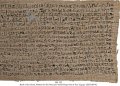 Book of the Dead | MS 125