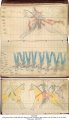 Cheyenne Chief Little Shield Ledger | MS 4457