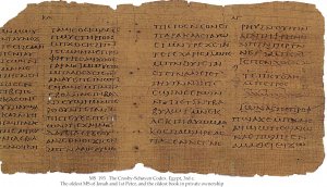 Crosby Schoyen Codex | MS 193