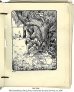ELLA HASSELBERG: PITT OG POTT | MS 5288 (3)