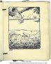 ELLA HASSELBERG: PITT OG POTT | MS 5288 (4)