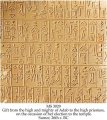 GIFTS FROM THE HIGH AND MIGHTY OF ADAB TO THE HIGH PRIESTESS | MS 3029