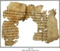 Greek Bible - Romans | MS 113