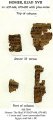 Homer's Iliad | MS 5094