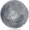 Incantation Bowl in Mandaic | MS 1911/2