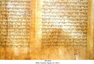 Bible: Genesis | MS 2640