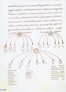 CASSIODORUS: LIBER HUMANIARUM LITTERARUM | MS 1800 (1)