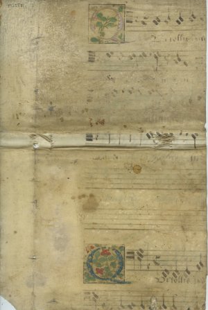 Office of the Dead | MS 5581 (1)