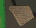Receipt for Taxes | MS 1910