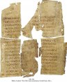 Latin Bible - Ezekiel | MS 046