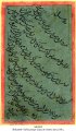 Copy of Letter in Shikasteh-Taliq | MS 5312