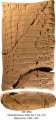 Multiplication Table | MS 3866
