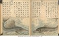 NITTOH GUIOFU: GENSEN KANDA | MS 2898 (1)