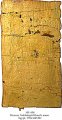 Royal Canopic Chest Name Label | MS 604