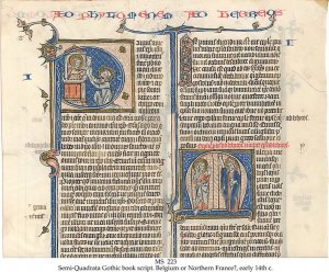 Semi-Quadrata Bible | MS 223