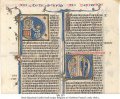 Semi-Quadrata Bible | MS 223