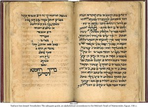 Tanhum Ben Joseph Yerushalmi | MS 2195