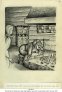 THROND SJURSEN HAUKENES | MS 2138 (3)